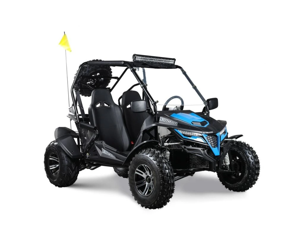 Buggy pre deti a dospelých